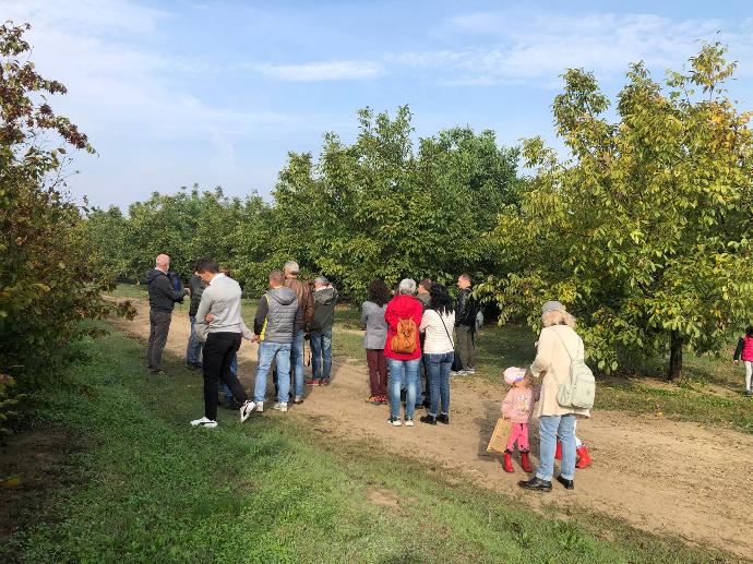 visita aziendale passeggiata